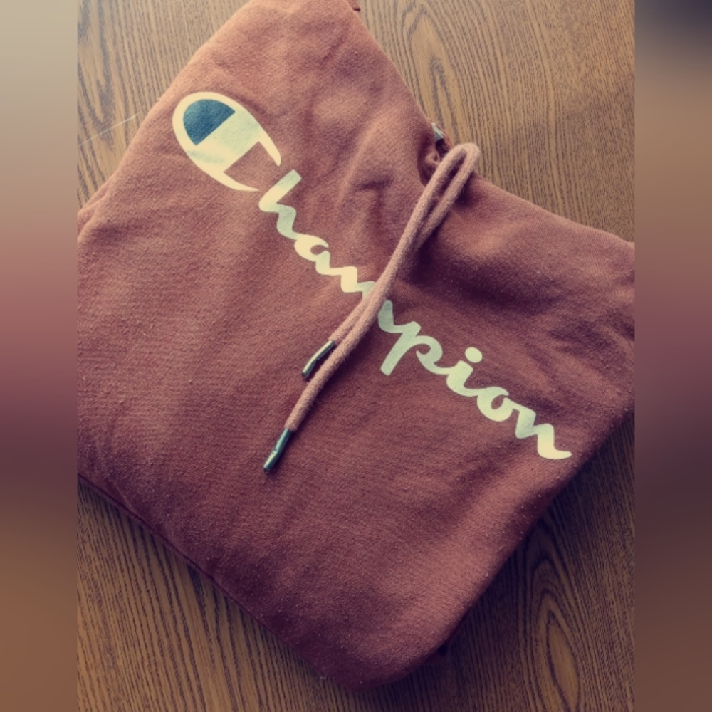 Brown Champion sweater